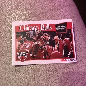 Bulls 1991 NBA champs